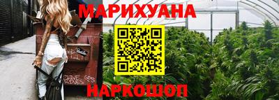 сатива Кунгур