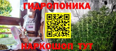 сатива Кунгур