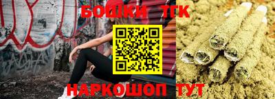 сатива Кунгур